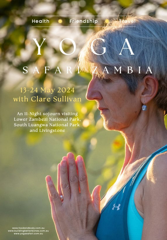 The cover of Clare's yoga safari brochure
