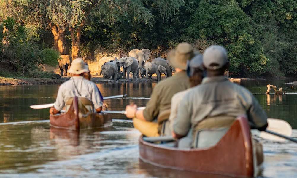 Canoeing with elephants