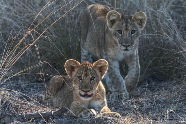 The best time to visit Zambia