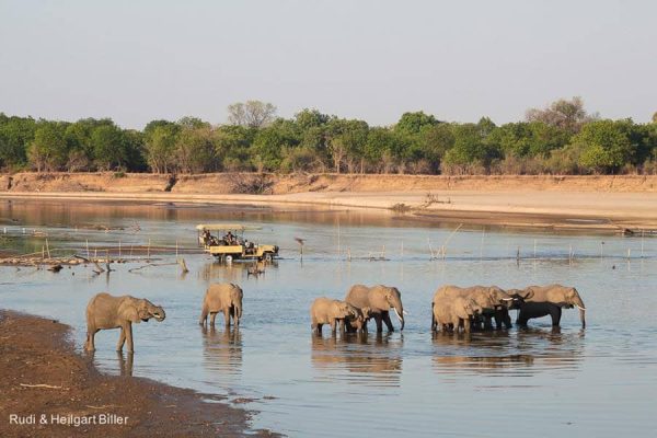 kafunta-safaris-zambia-africa-travel Best Planning Guide