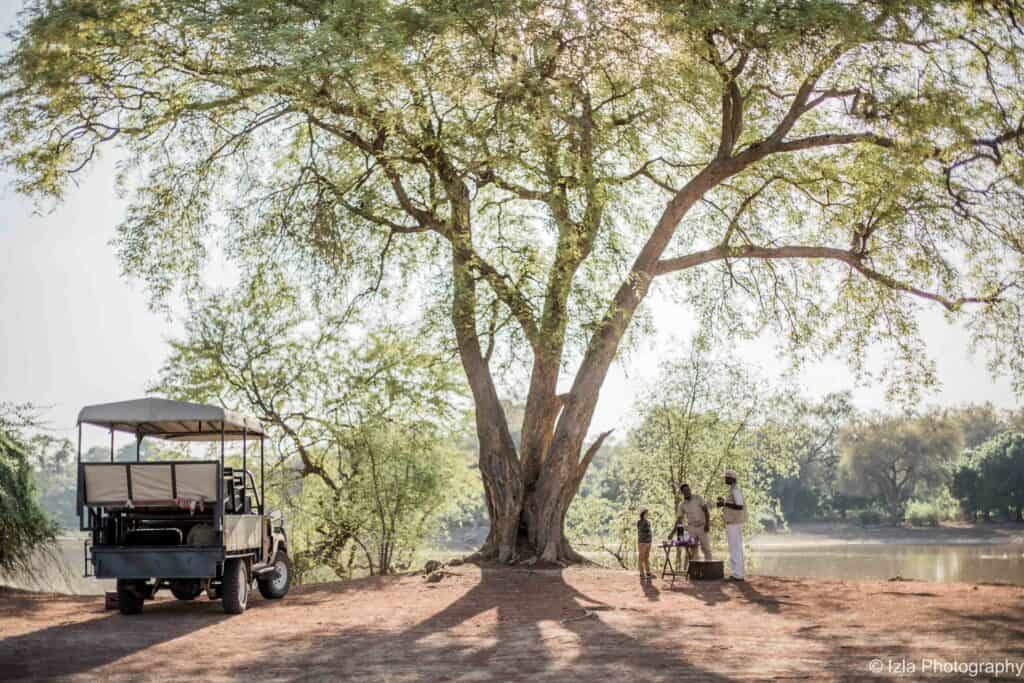 Safari with Kafunta