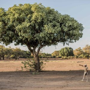 Kafunta_IzlaPhotography_Activities_2 Walking Safari