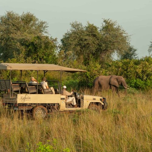 KafuntaSafaris_Drive_2 KafuntaSafaris_Drive_2