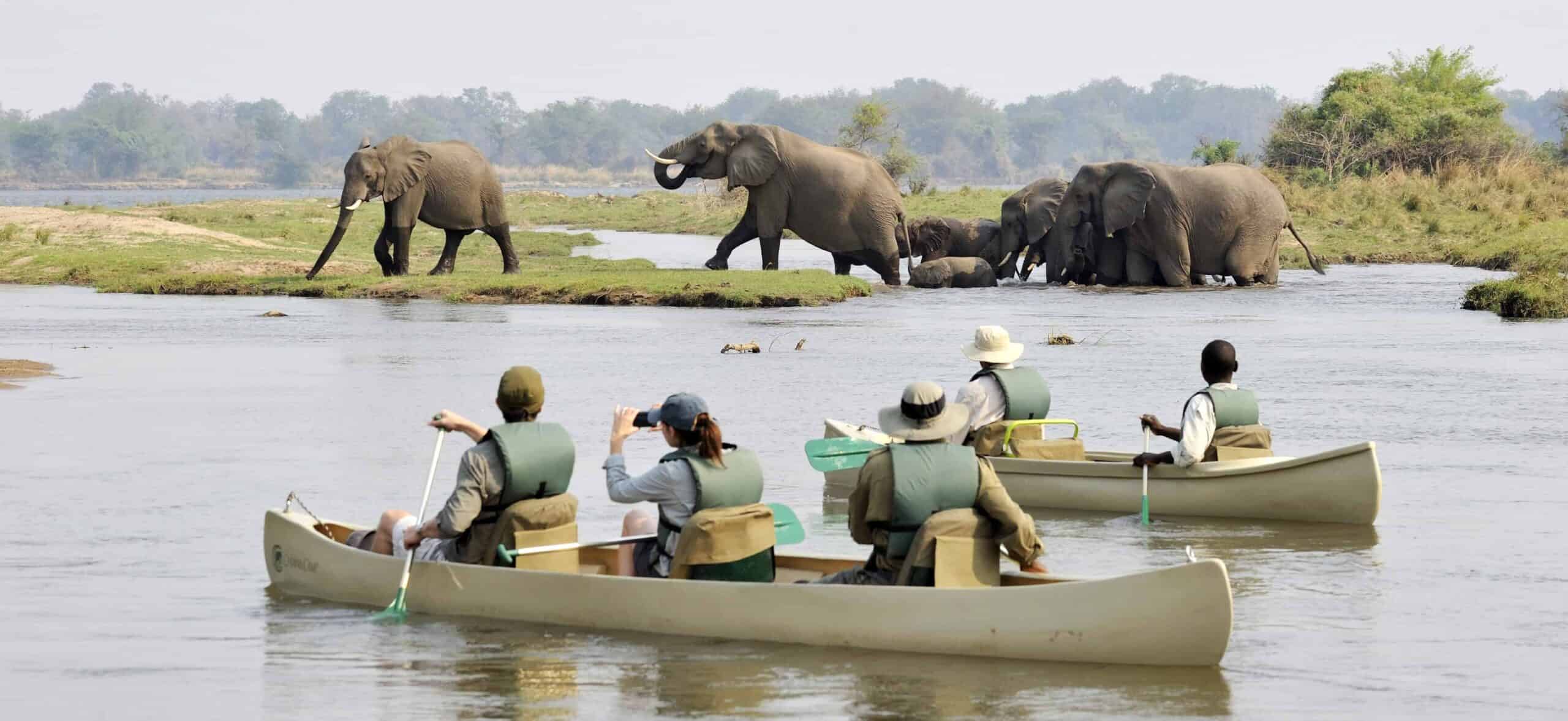 Lower Zambezi, Canoe, Elephants