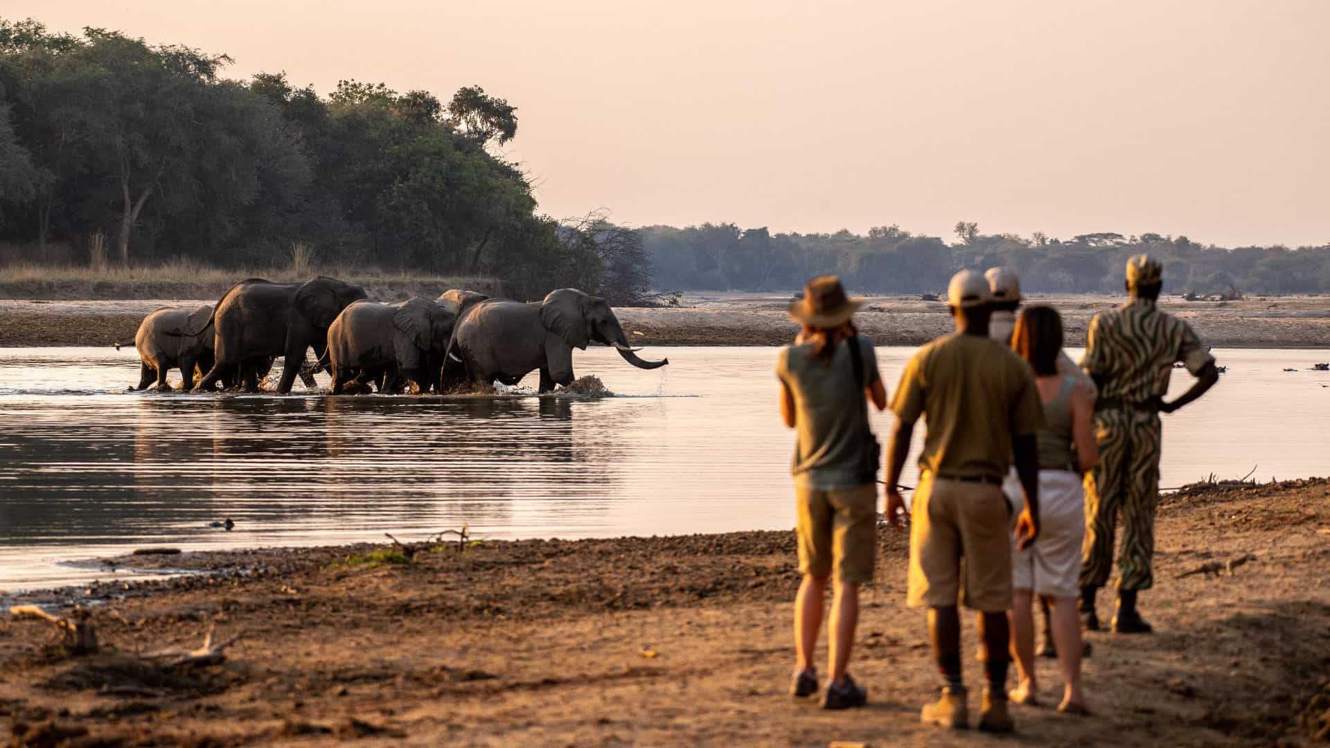 Takwela Camp Walking Along Luangwa River