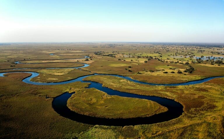 Aerial shot of the Okavango River, Botswana
